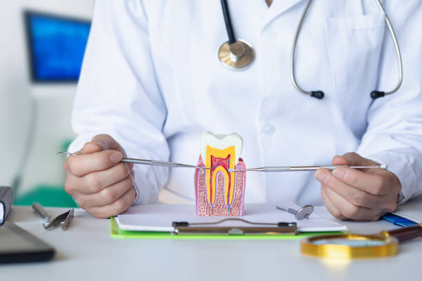 Best Emergency Treatment for Oral Infections in Springmont, PA